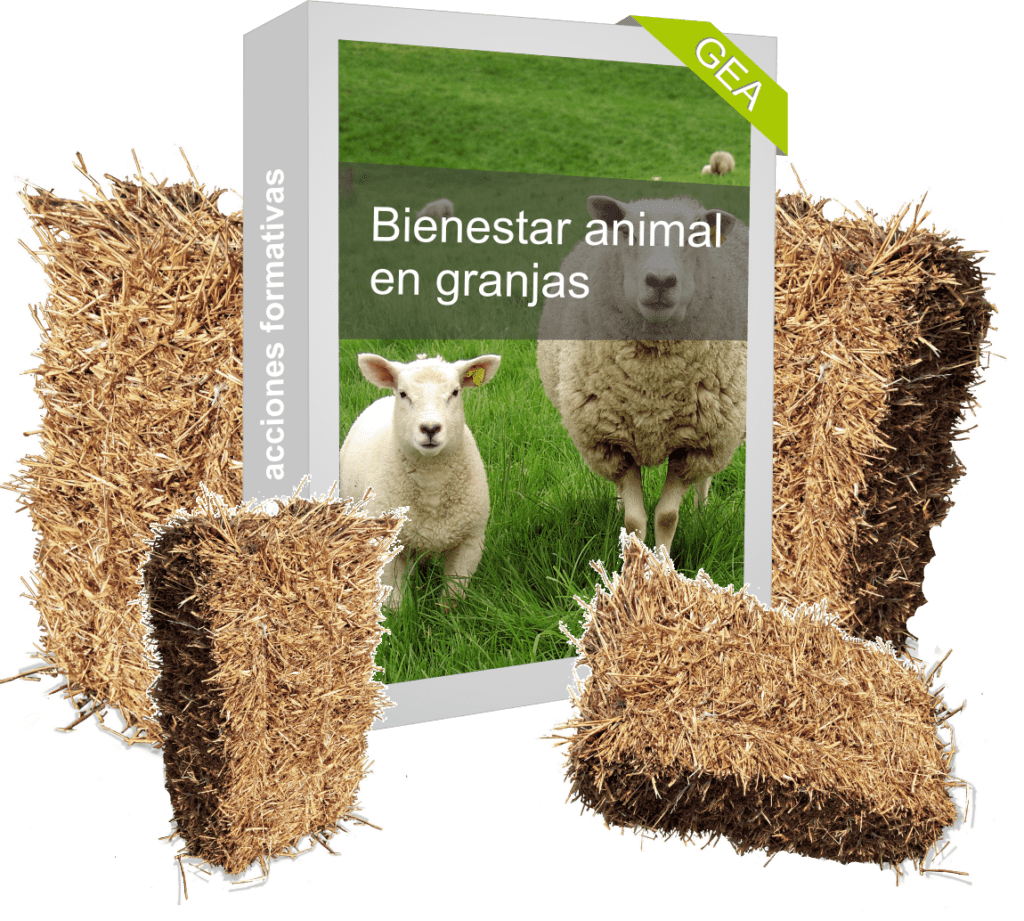 Bienestar animal granjas