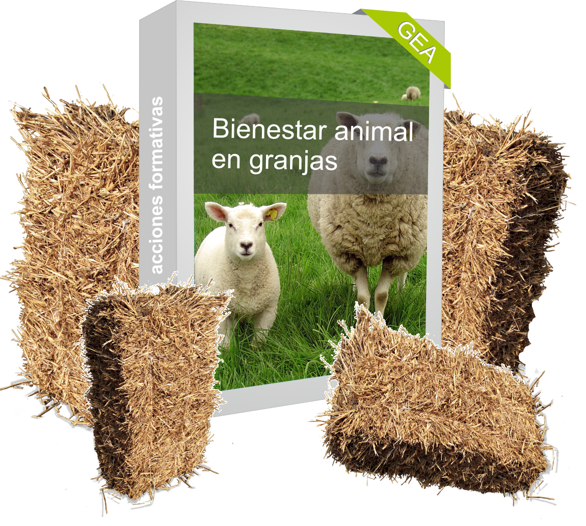 Bienestar animal granjas