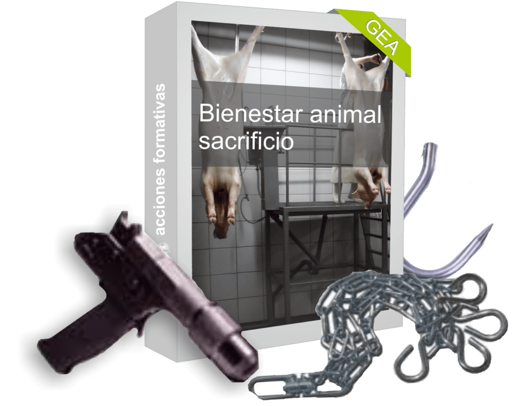 Bienestar animal sacrificio