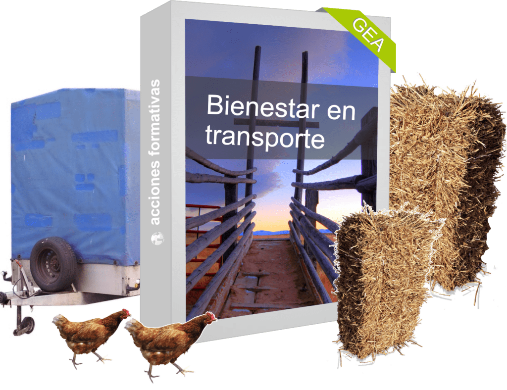 Bienestar animal Transporte