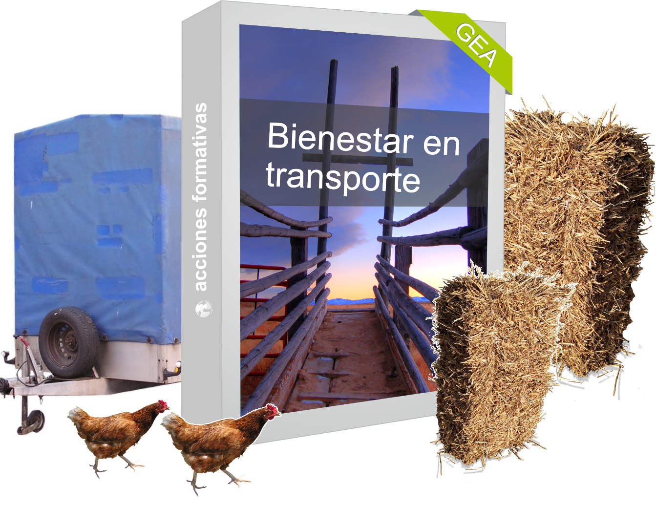 Bienestar animal Transporte