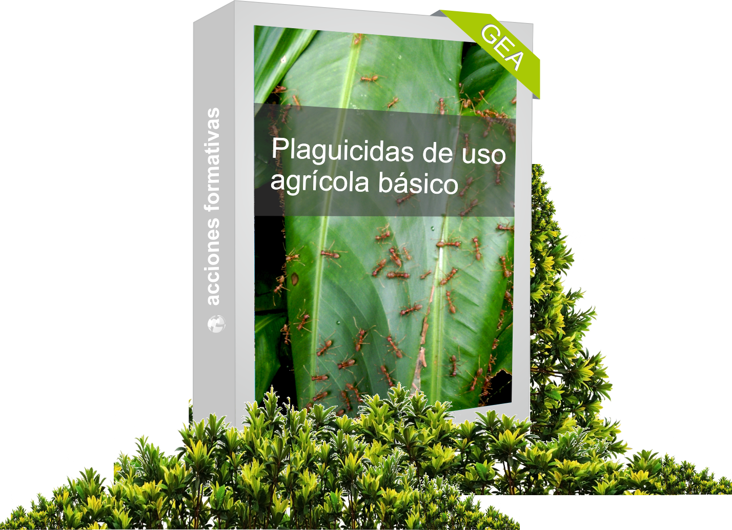 Plaguicidas uso agrícola