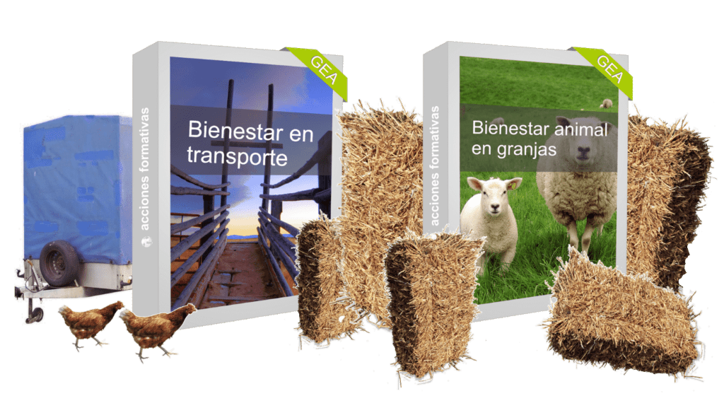 Bienestar animal mixto