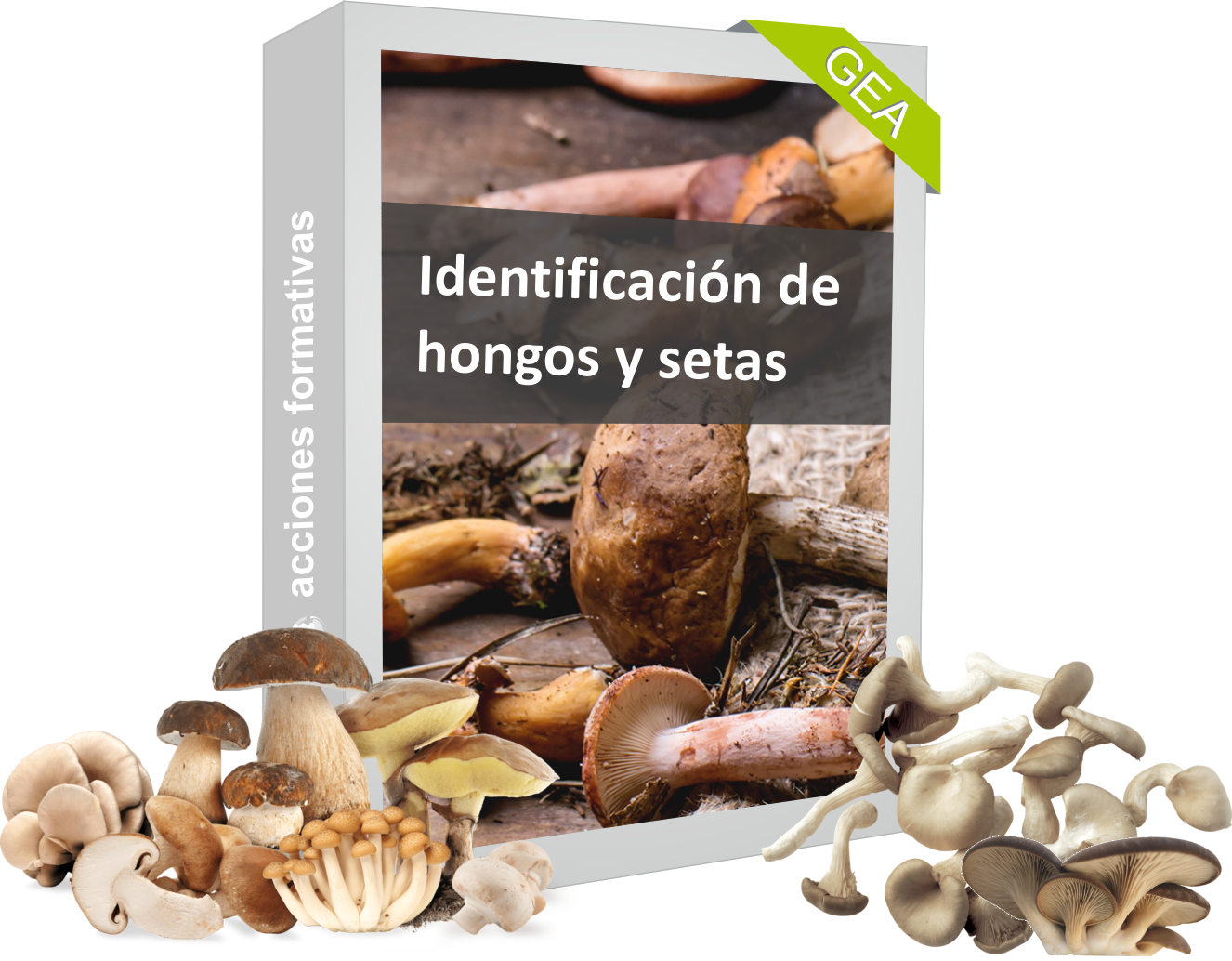 Idenficación de hongos y setas